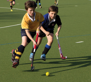 Dulwich Hockey Pitch