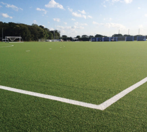 Queen Ethelburgas Sports Pitch