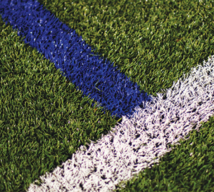Fusion Lifestyle Pitch Markings