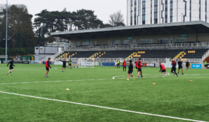 Maidstone United Pitch and Stadia