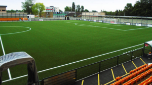 Arbour Park