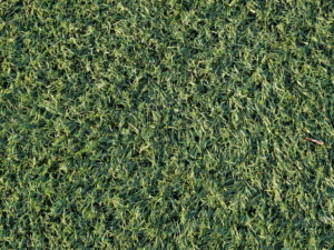3G artificial turf