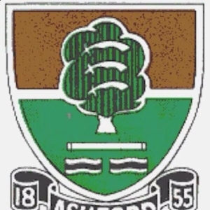 Ashford Cricket Club Logo